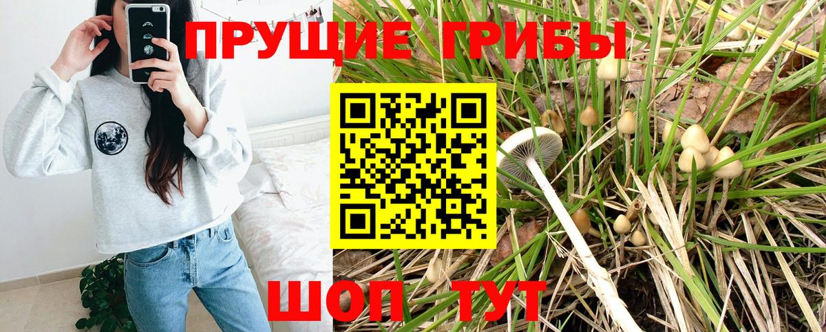 Богородск  Псилоцибиновые грибы GOLDEN TEACHER  Вход с VPN 